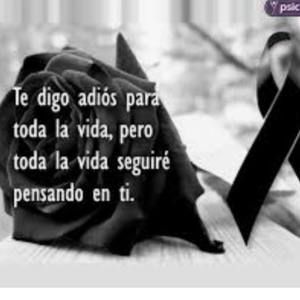 Meet your Posher, Digna